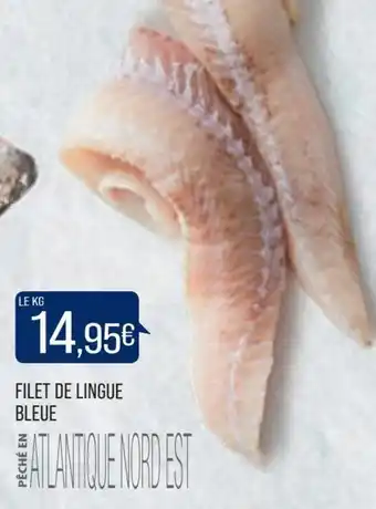 Match Filet de Linge Bleue offre