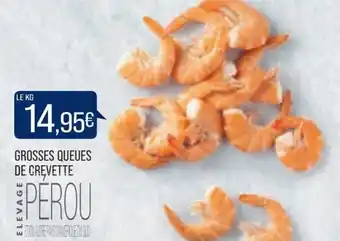 Match Grosses Queues de Crevette offre