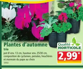 Norma Plantes d'Automne offre