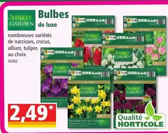 Norma Bulbes offre