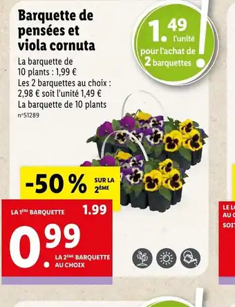Lidl Barquette de Pensées Et Viola Cornuta offre