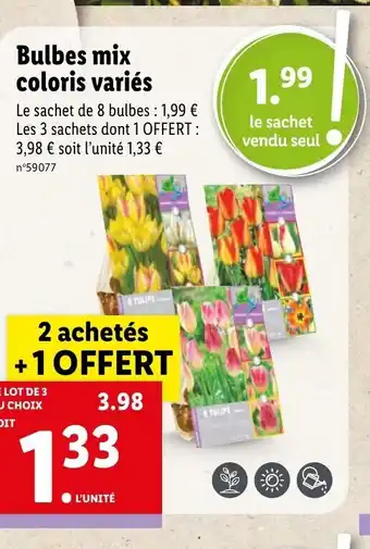 Lidl Bulbes Mix Coloris Variés offre
