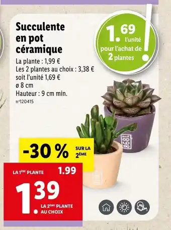 Lidl Succulente En Pot Céramique offre