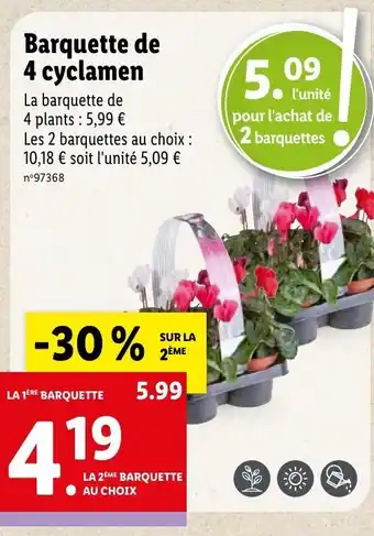 Lidl Barquette de 4 Cyclamen offre