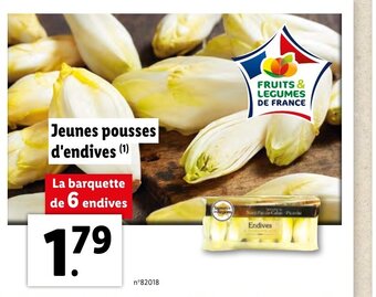 Lidl Jeunes Pousses d'Endives offre