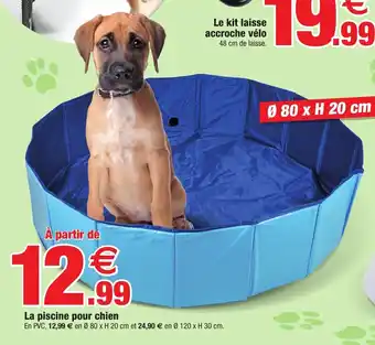 Bazarland La piscine pour chien offre