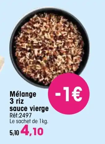 Croque Gel Mélange 3 riz sauce vierge offre