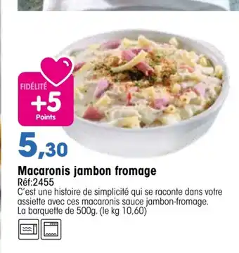 Croque Gel Macaronis jambon fromage offre