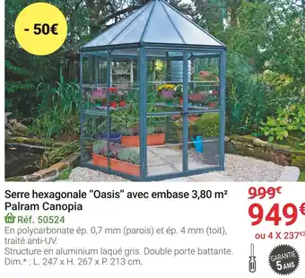 Gamm vert Serre hexagonale ‘’oasis’’ avec embase 3,80 m² palram canopia offre