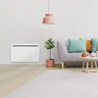 Brico Dépôt Radiateur double coeur de chauffe "ceram" offre
