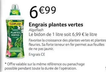 VillaVerde Algoflash engrais plantes vertes offre