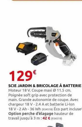 Rural Master Scie jardin & bricolage à batterie offre