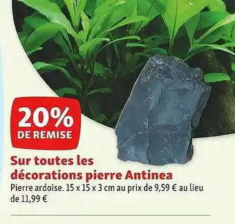 Décorations pierre antinea