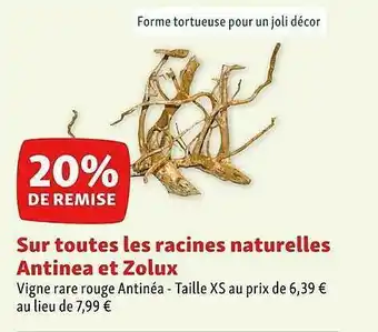 Maxi Zoo Racines naturelles antinea et zolux offre