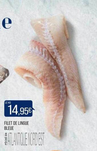 Match Filet de lingue bleue offre