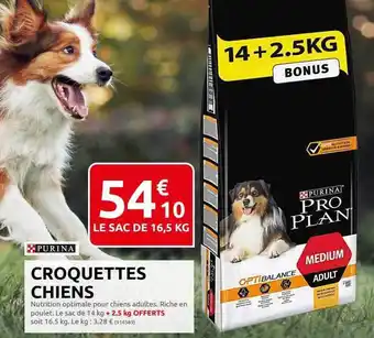 Rural Master Croquettes chiens purina offre