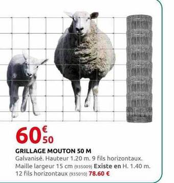 Rural Master Grillage mouton 50 m offre