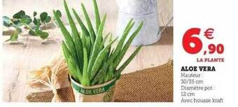 Hyper U Aloe vera offre