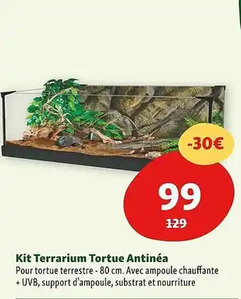 Kit terrarium tortue antinéa