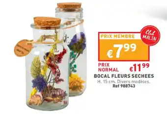 Trafic Bocal fleurs sechees offre