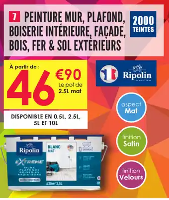 Décor Discount Peinture Couleur Sur Mesure Multi-Supports Ripolin offre