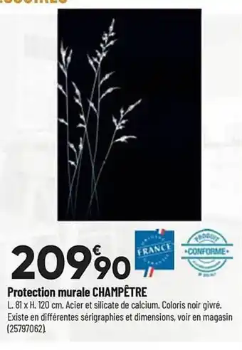 Bricorama Protection murale champêtre offre