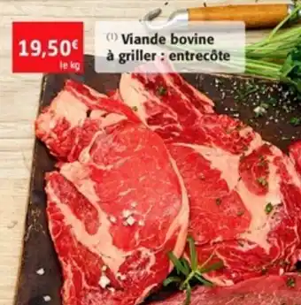 Colruyt Viande bovine à griller : entrecôte offre
