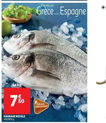 Daurade Royale