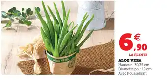 Super U Aloe Vera offre