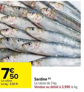 Carrefour Sardine offre