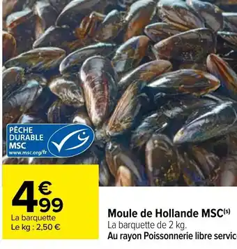 Carrefour Moule de Hollande MSC offre