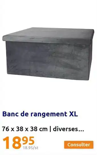 Action Banc de rangement xl offre