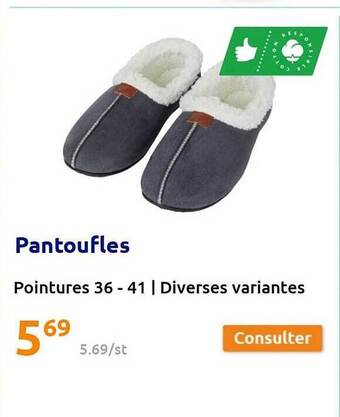 Action Pantoufles offre