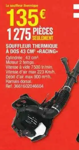 Brico Dépôt Souffleur thermique à dos 43 cm³ racing offre