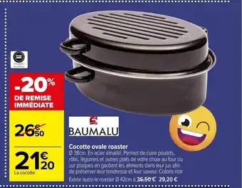 Carrefour Cocotte Ovale Roaster offre