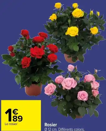 Carrefour Rosier offre