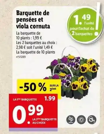 Lidl Barquette de pensées et viola cornuta offre