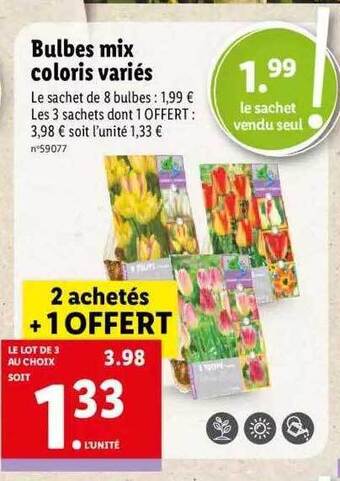 Lidl Bulbes mix coloris variés offre