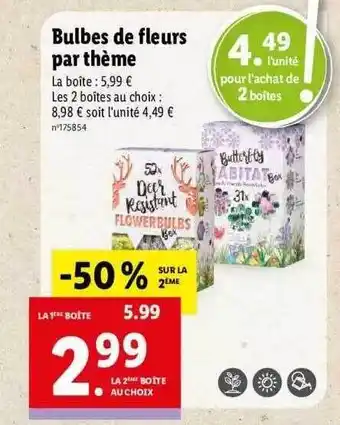 Lidl Bulbes de fleurs par thème offre