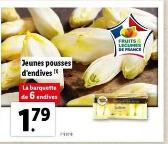 Jeunes pousses d'endives