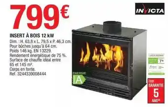 Insert à bois 12 kw invicta