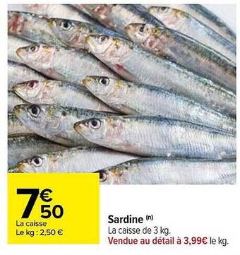 Carrefour Sardine offre