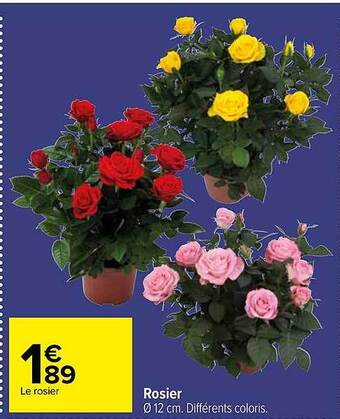 Carrefour Rosier offre