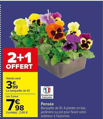 Carrefour Pensée offre