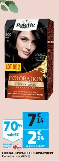 Auchan Coloration palette schwarzkopf offre