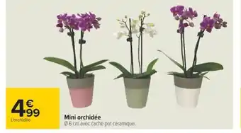 Carrefour Mini Orchidée offre