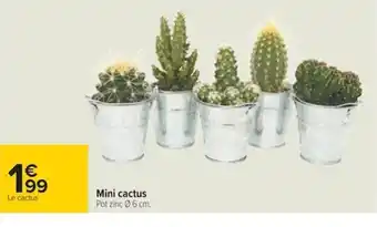 Carrefour Mini Cactus offre