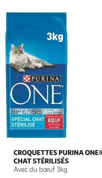Auchan Purina bon plan sue les croquettes purina one chat stérilisés offre