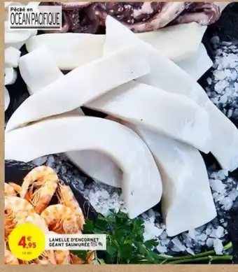 Lamelle d'Encornet géant saumurée
