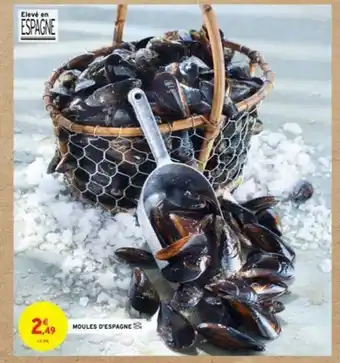Intermarché Moules d'Espagne offre